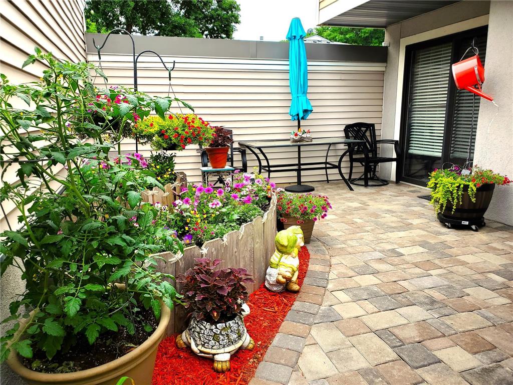 1216 Trailwood S Hopkins MN 55343 6336986 image1