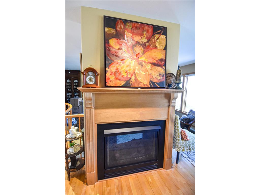 1217 Taft Street E Thief River Falls MN 56701 - Red Lake River 6701327 image11