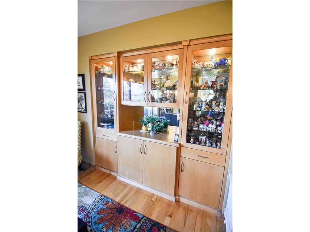 1217 Taft Street E Thief River Falls MN 56701 - Red Lake River 6701327 image21