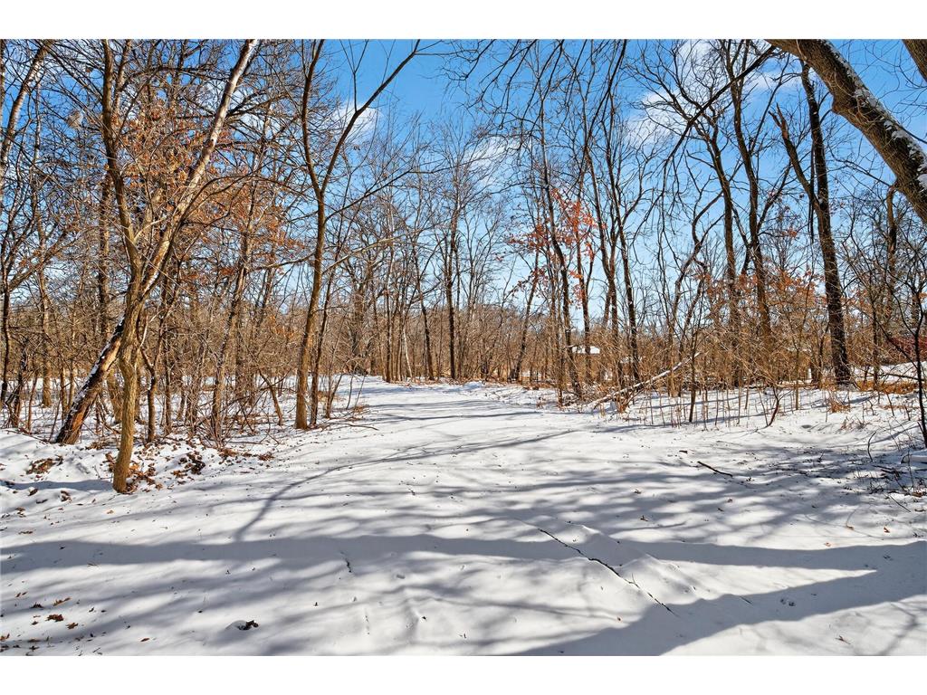 1218 Klondike Drive NE East Bethel MN 55011 7032120 image50