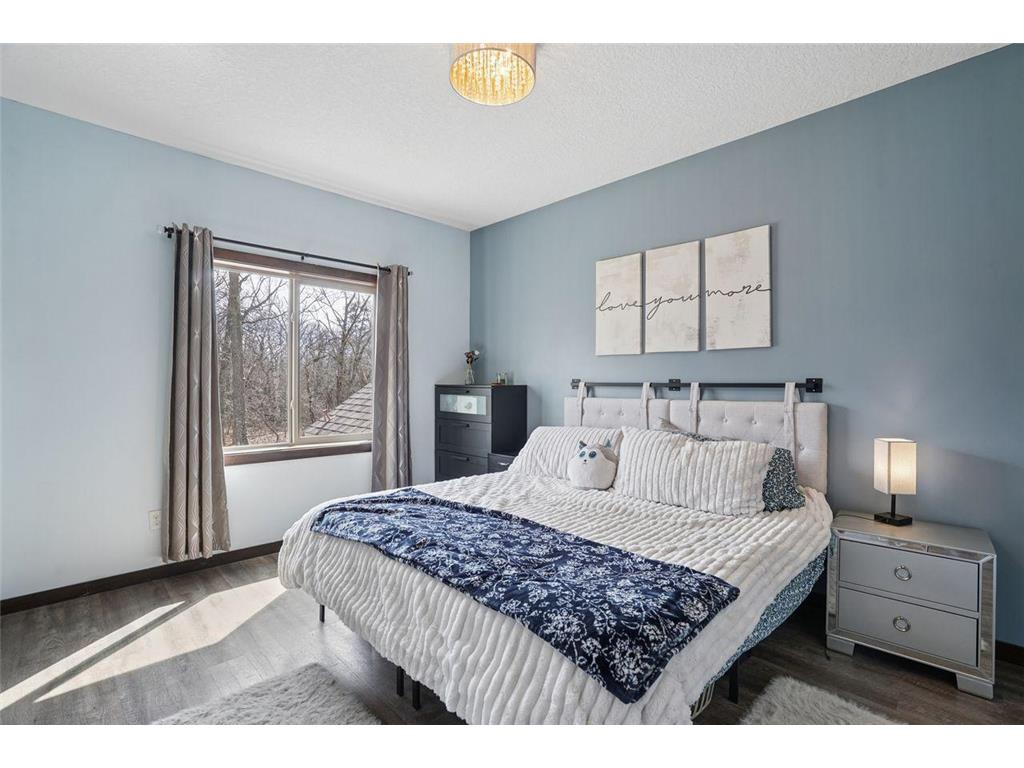 12183 180th Avenue SE Becker Twp MN 55309 7015043 image16