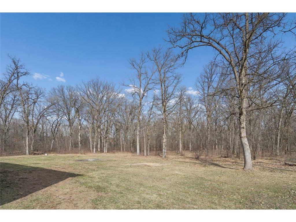 12183 180th Avenue SE Becker Twp MN 55309 7015043 image36