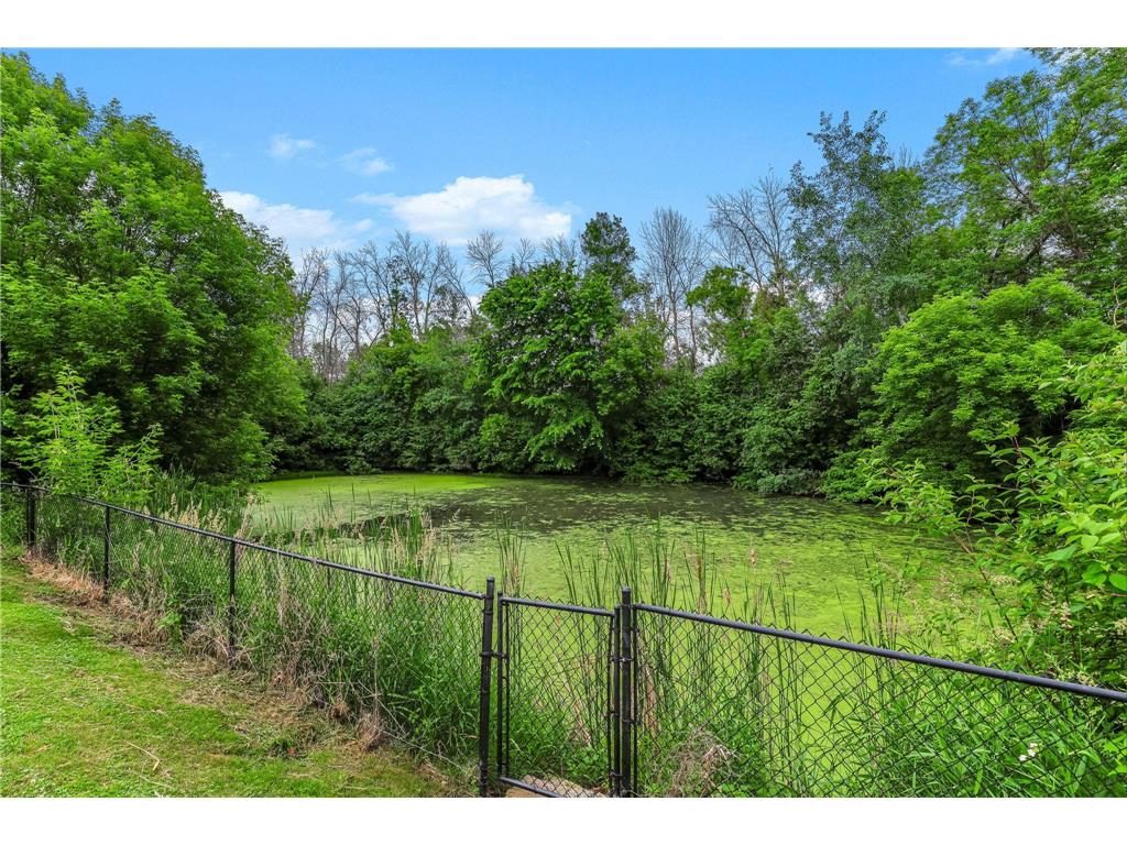 1219 15th Street SE Forest Lake MN 55025 7087379 image43
