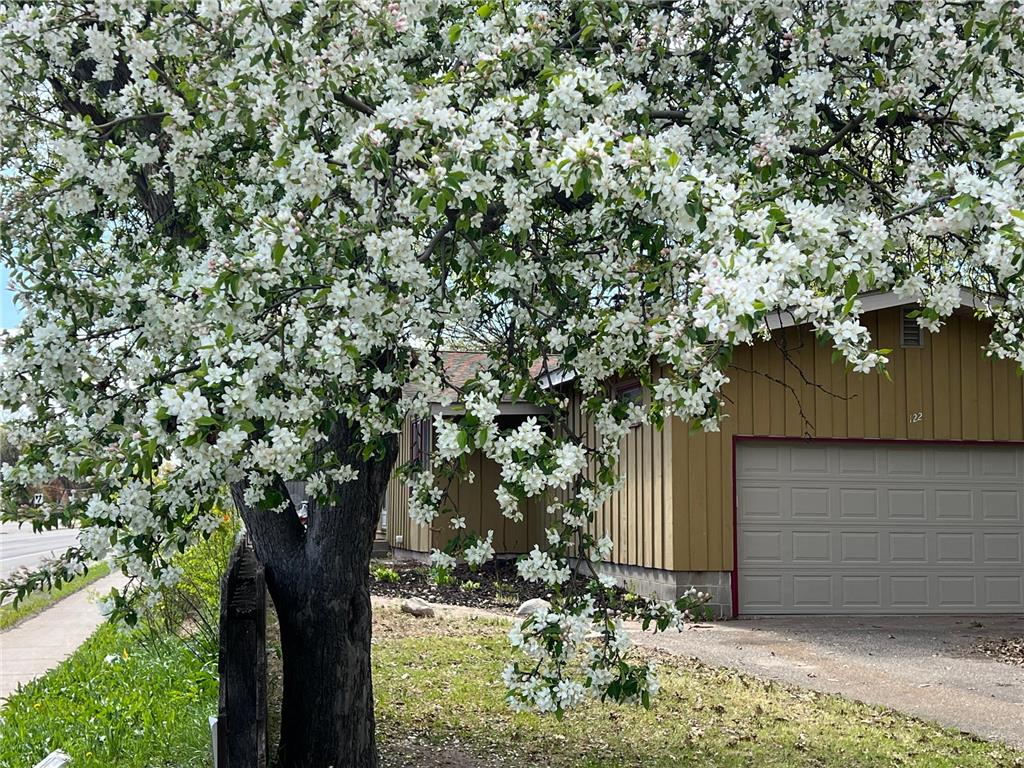 122 Craig Way NE Fridley MN 55432 7075420 image3