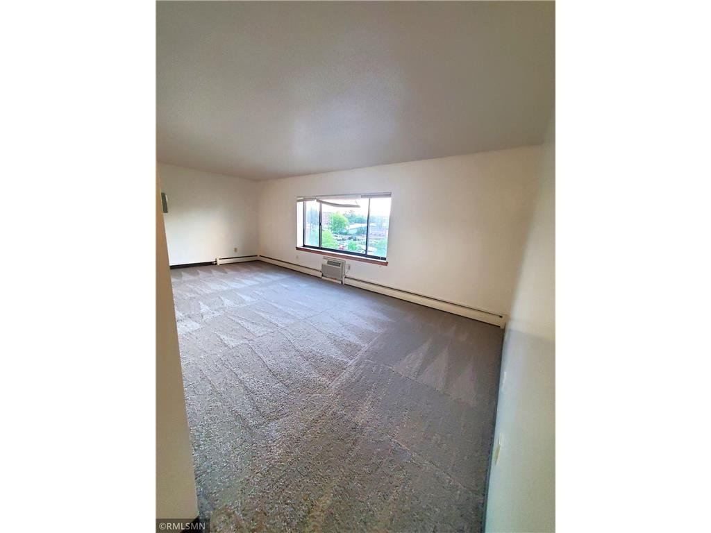 122 Spring Street #304 River Falls Twp WI 54022 6794676 image3