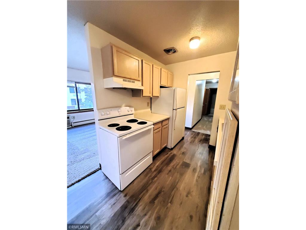 122 Spring Street #304 River Falls Twp WI 54022 6794676 image4