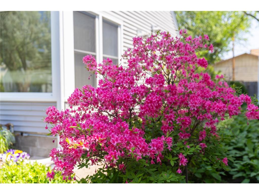 1220 Alameda Street Saint Paul MN 55117 7080294 image23