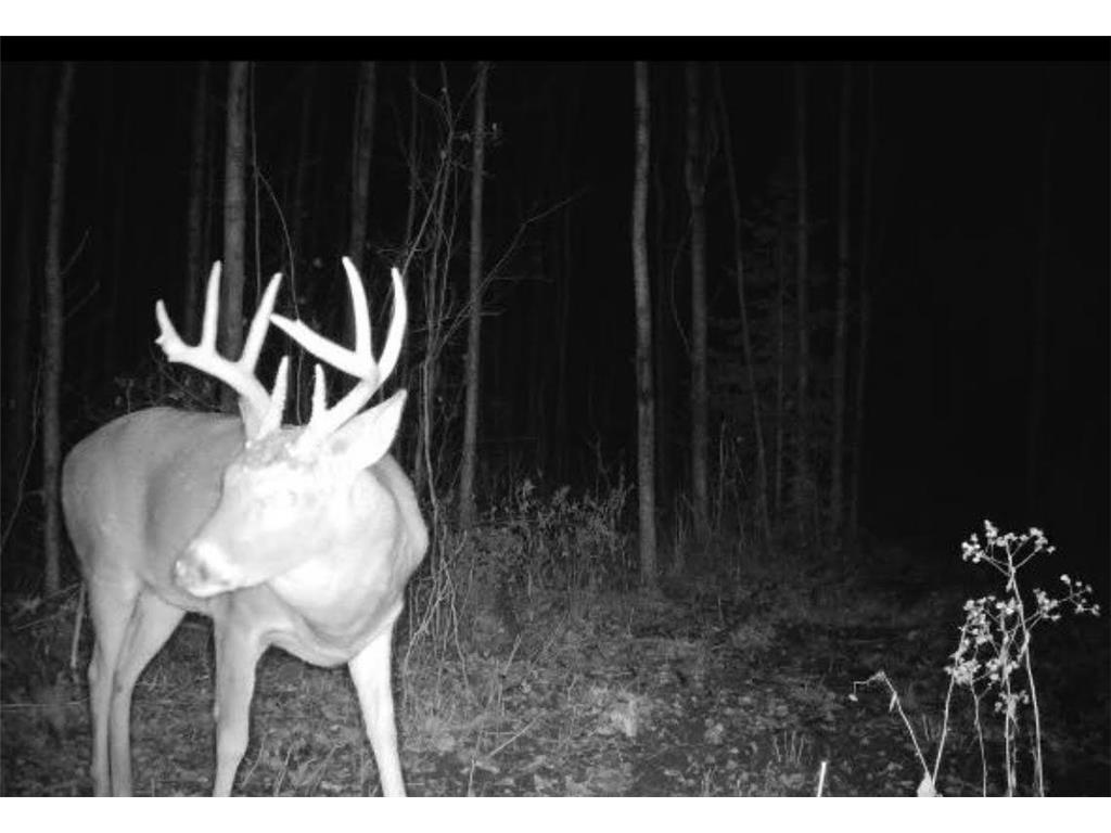 12201 E Hakkala Road Maple WI 54854 6638204 image19