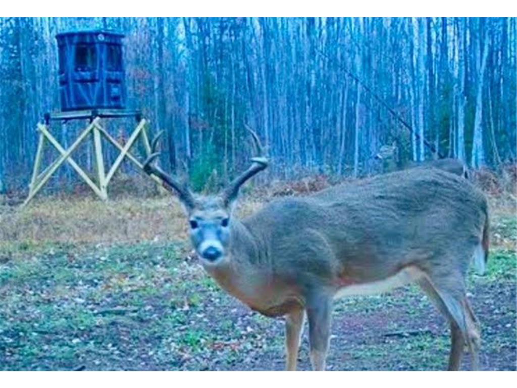 12201 E Hakkala Road Maple WI 54854 6638204 image20