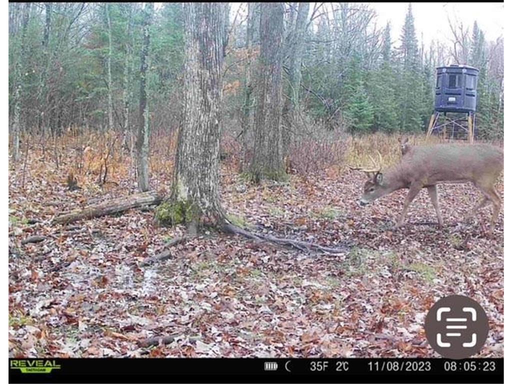 12201 E Hakkala Road Maple WI 54854 6638204 image21