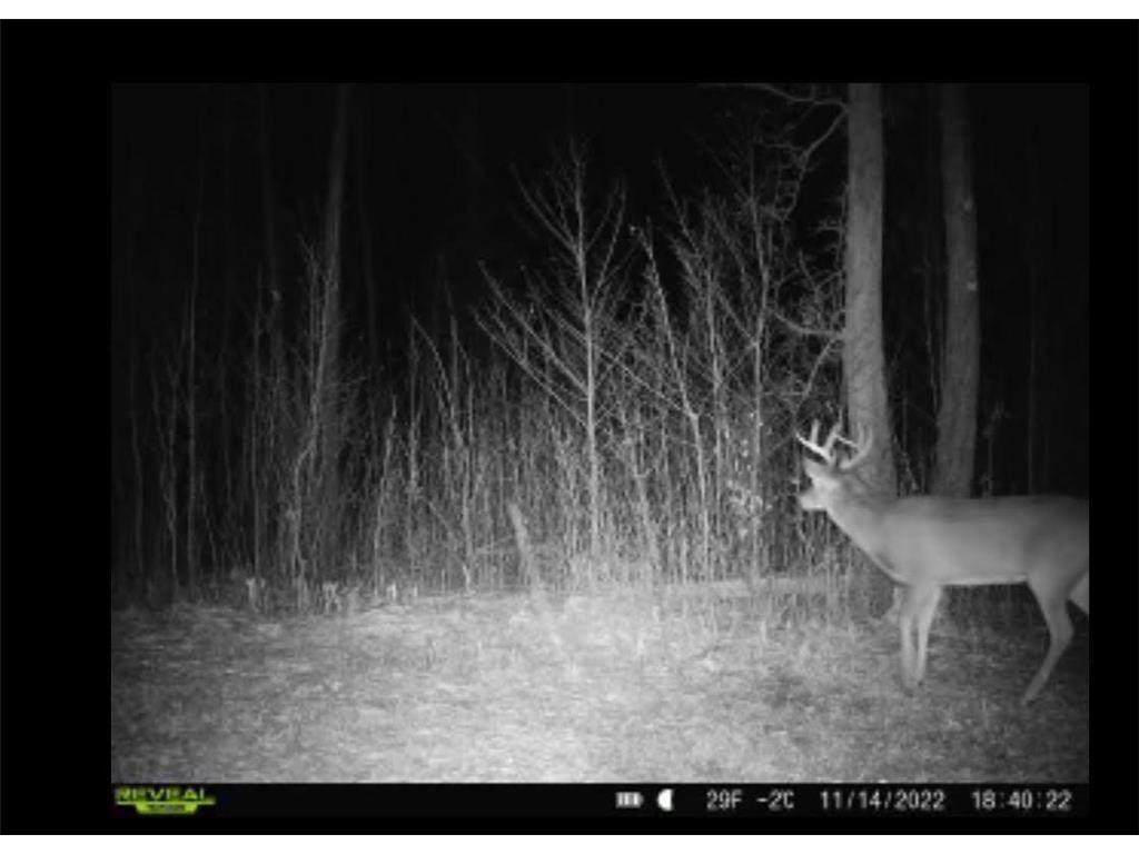 12201 E Hakkala Road Maple WI 54854 6638204 image22