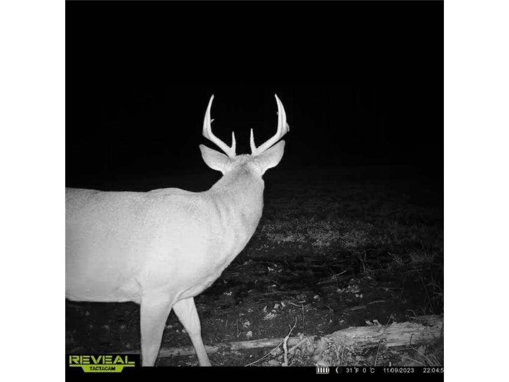 12201 E Hakkala Road Maple WI 54854 6638204 image24