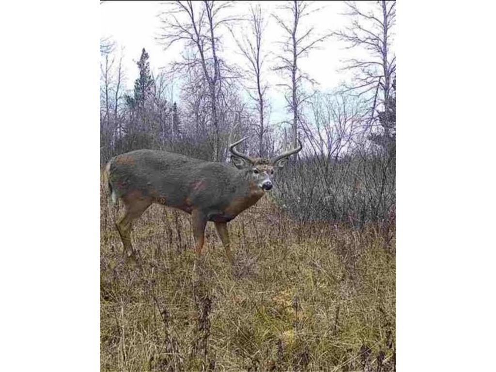 12201 E Hakkala Road Maple WI 54854 6638204 image25