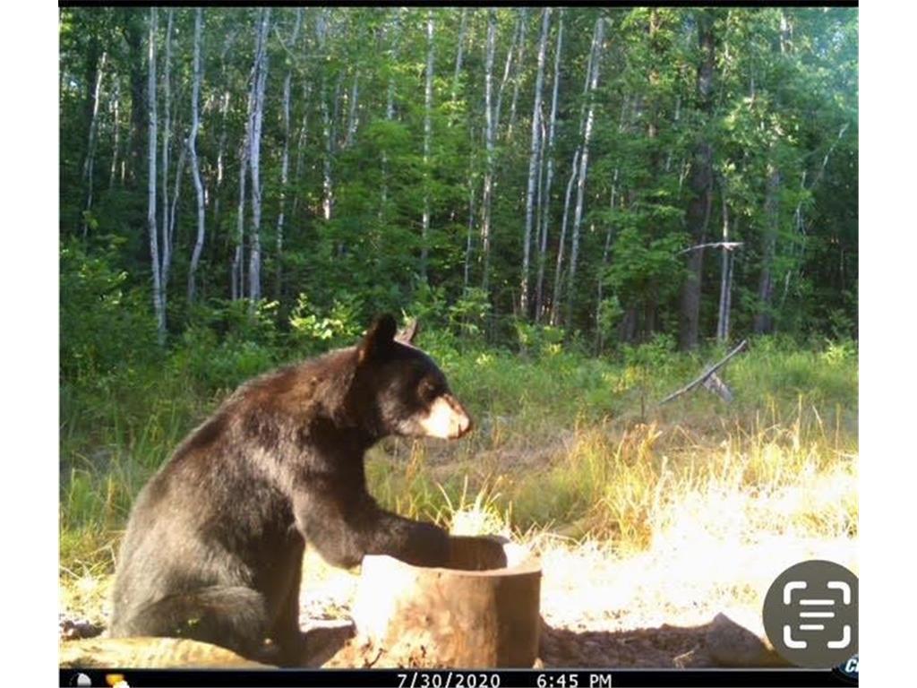 12201 E Hakkala Road Maple WI 54854 6638204 image26