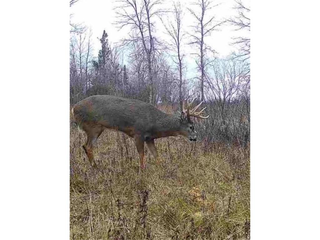 12201 E Hakkala Road Maple WI 54854 6638204 image27