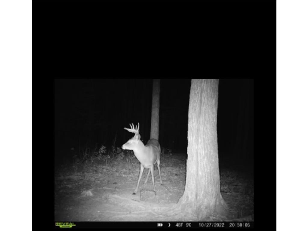 12201 E Hakkala Road Maple WI 54854 6638204 image28