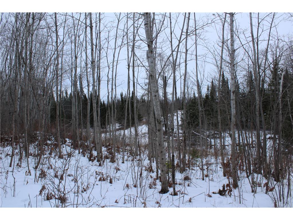 12201 E Hakkala Road Maple WI 54854 6638204 image36