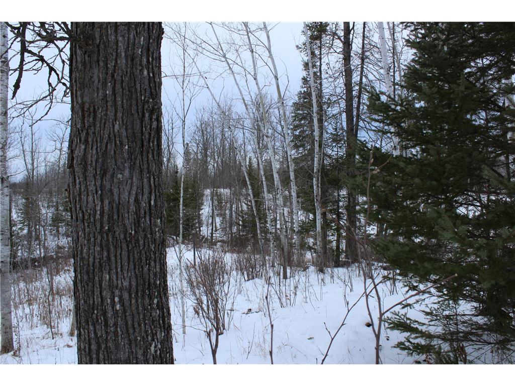 12201 E Hakkala Road Maple WI 54854 6638204 image37