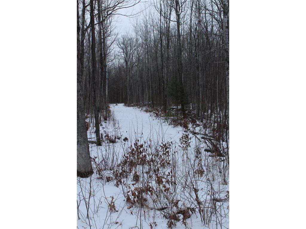 12201 E Hakkala Road Maple WI 54854 6638204 image43