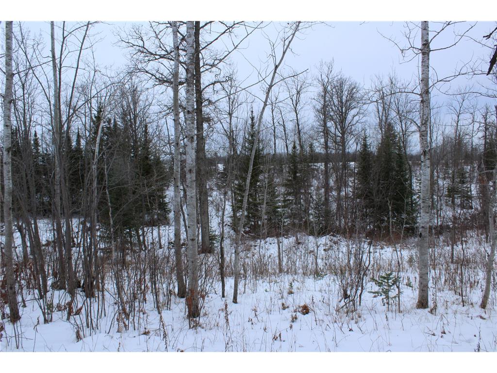 12201 E Hakkala Road Maple WI 54854 6638204 image44