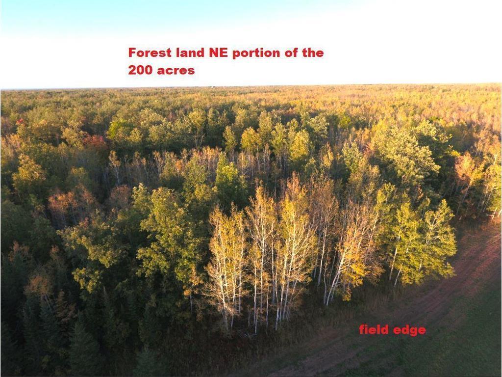 12201 E Haukkila Road Maple WI 54854 7104345 image10