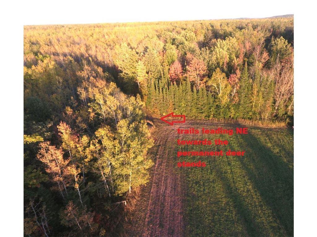 12201 E Haukkila Road Maple WI 54854 7104345 image11