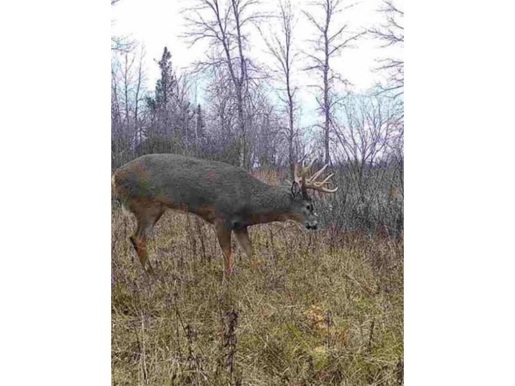 12201 E Haukkila Road Maple WI 54854 7104345 image52