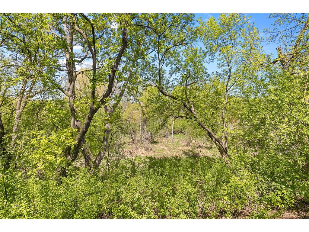 1221 County Road D E Vadnais Heights MN 55109 7058430 image5