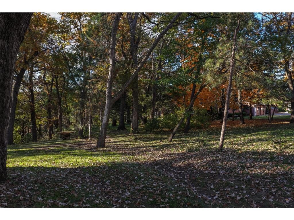 1221 Pearl Street Prescott WI 54021 6811456 image41