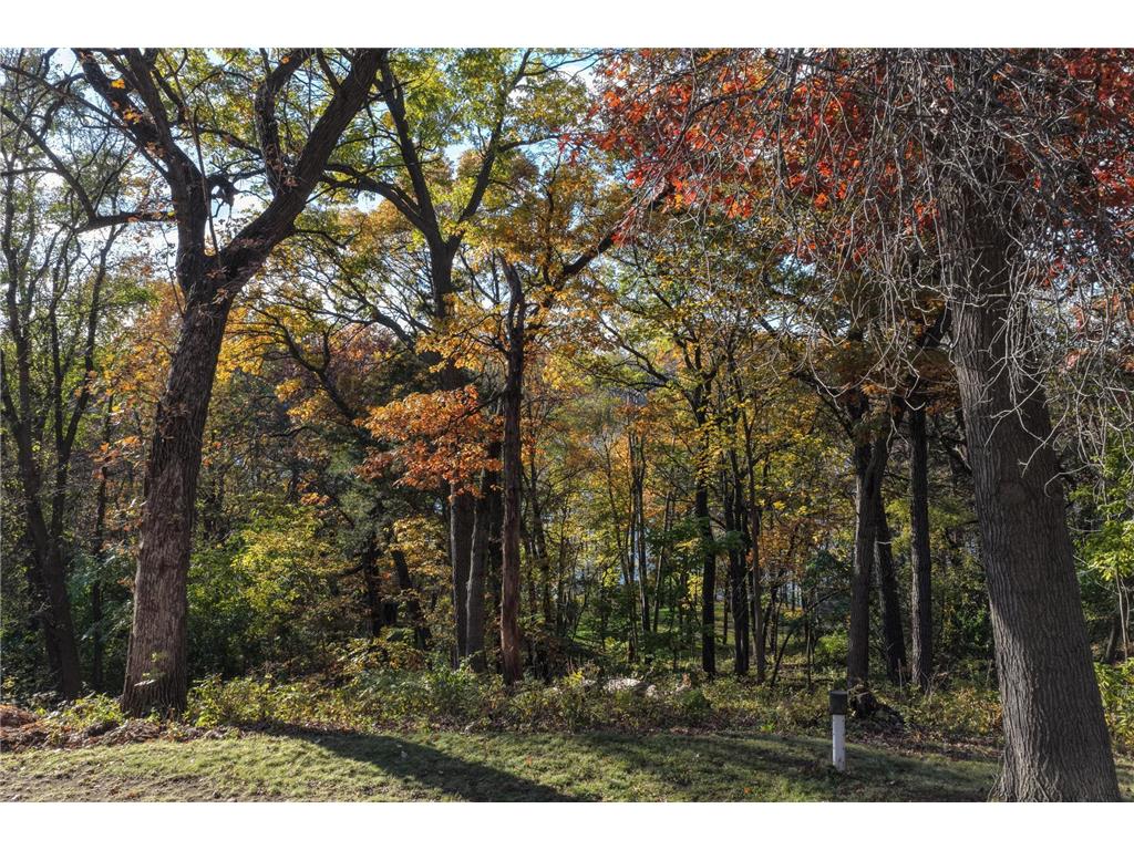 1221 Pearl Street Prescott WI 54021 6811456 image43