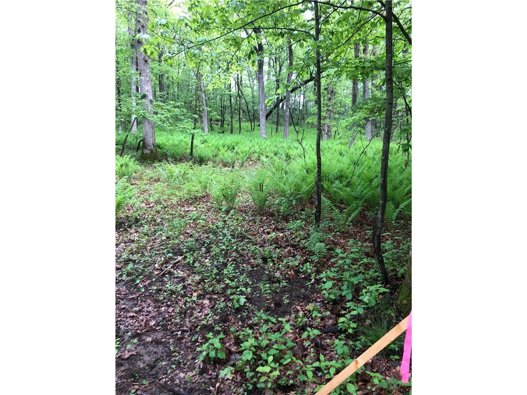 12216 Arcola Trail N May Twp MN 55082 6460488 image1