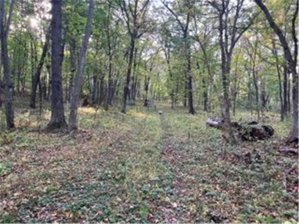 12216 Arcola Trail N May Twp MN 55082 7049431 image1