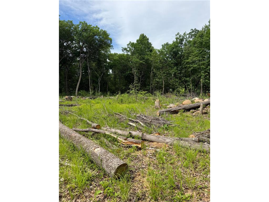 12216 Arcola Trail N May Twp MN 55082 7049431 image21