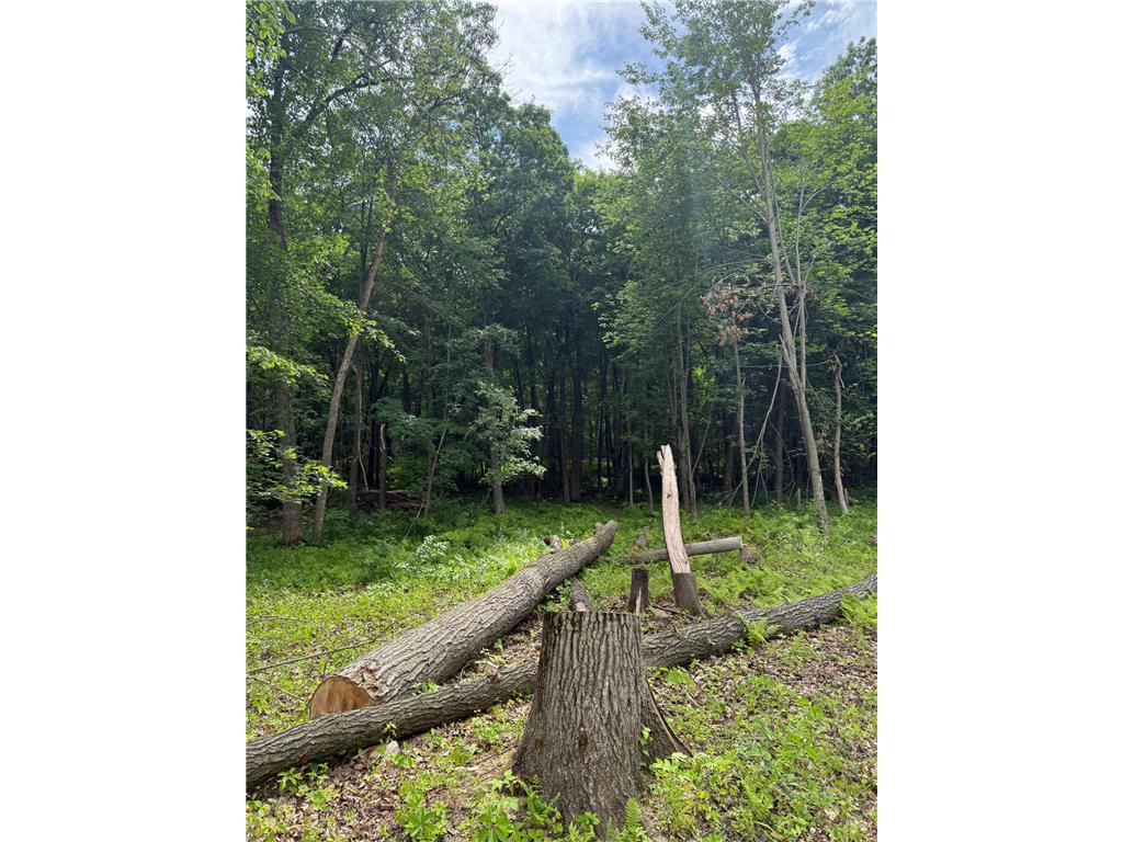 12216 Arcola Trail N May Twp MN 55082 7049431 image22