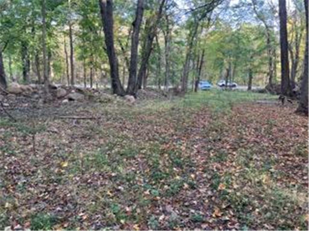 12216 Arcola Trail N May Twp MN 55082 7049431 image3