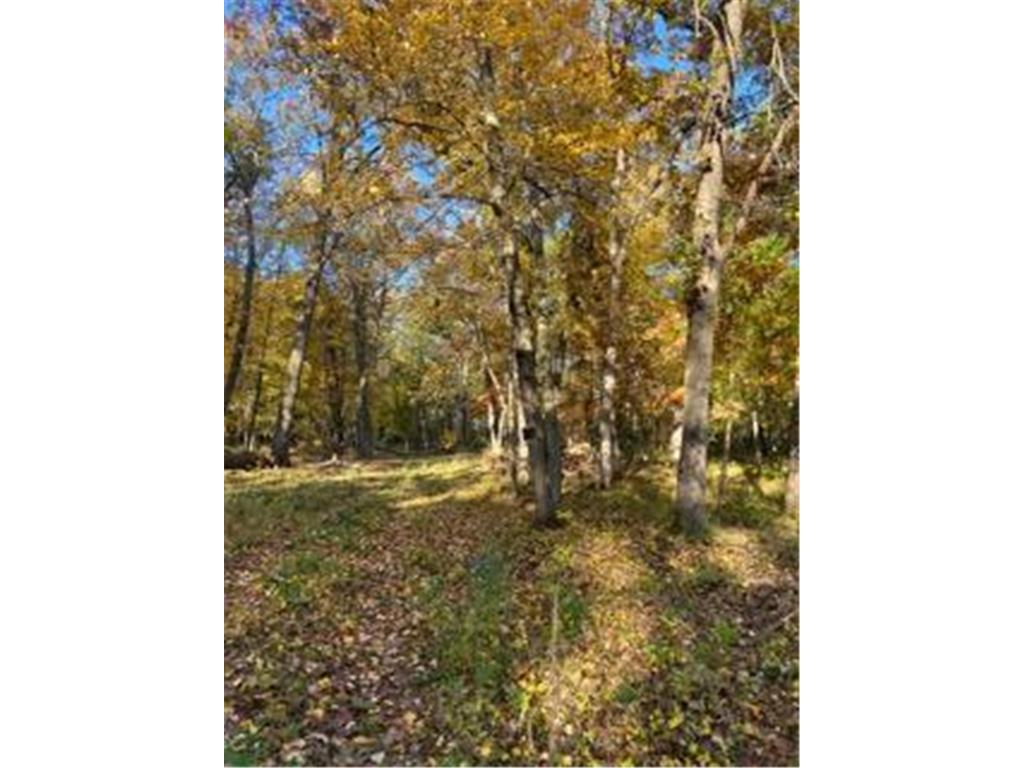 12216 Arcola Trail N May Twp MN 55082 7049431 image4