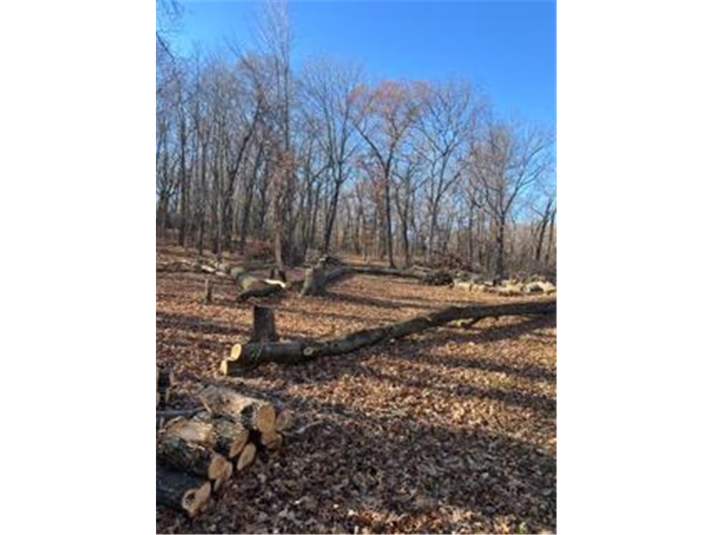 12216 Arcola Trail N May Twp MN 55082 7049431 image5