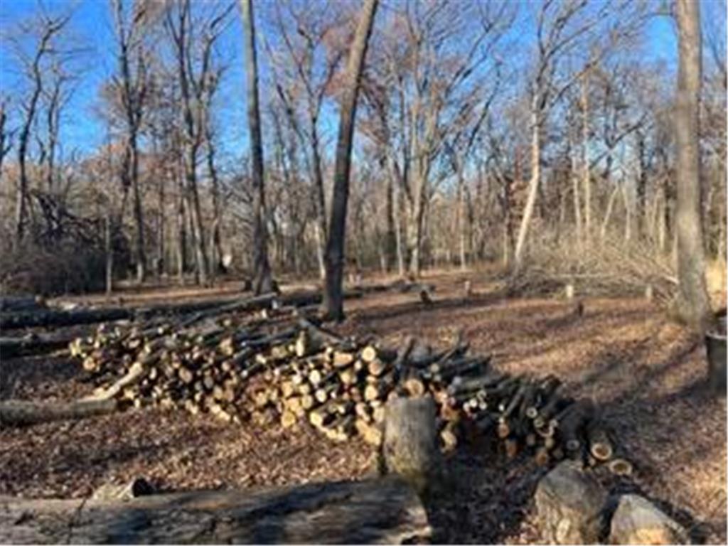 12216 Arcola Trail N May Twp MN 55082 7049431 image6