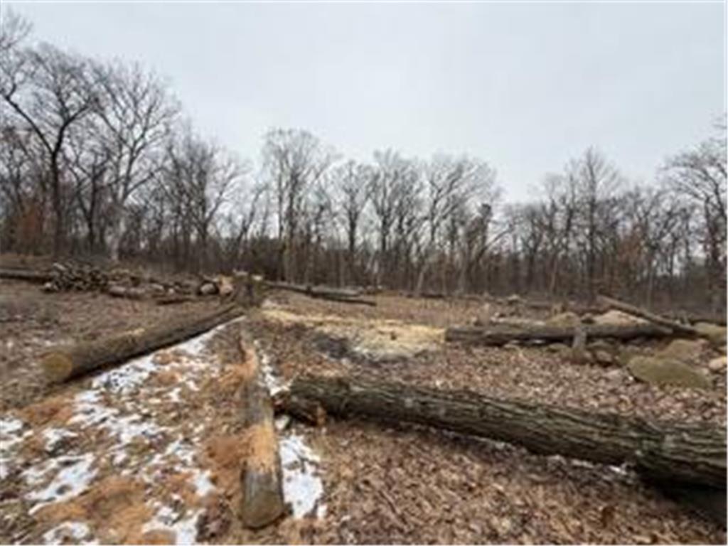 12216 Arcola Trail N May Twp MN 55082 7049431 image7