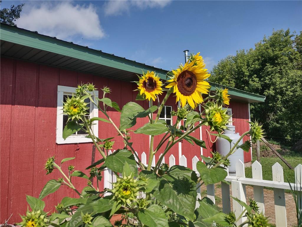 12221 Page Avenue Brownton MN 55312 7013514 image45