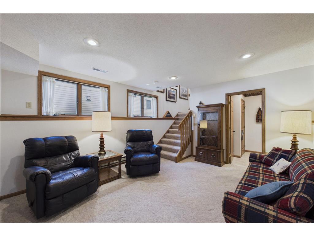 12231 N Shore Drive Irving Twp MN 56288 - Green 7103658 image26