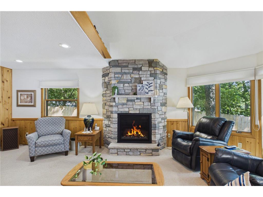 12231 N Shore Drive Irving Twp MN 56288 - Green 7103658 image7