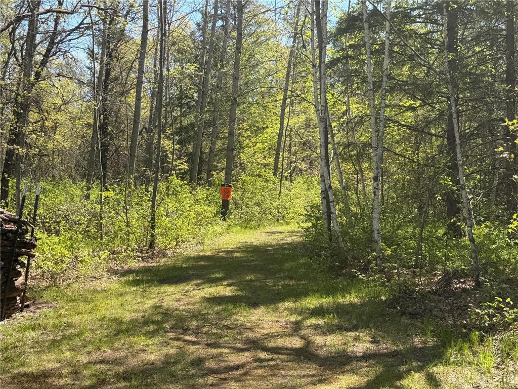 12235 E Crooked Lake Road Wascott WI 54838 7069379 image15