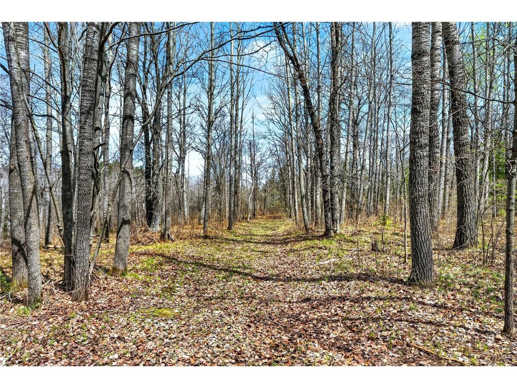 12235 E Crooked Lake Road Wascott WI 54838 7069379 image17