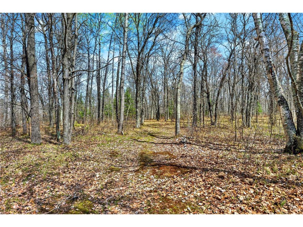 12235 E Crooked Lake Road Wascott WI 54838 7069379 image19