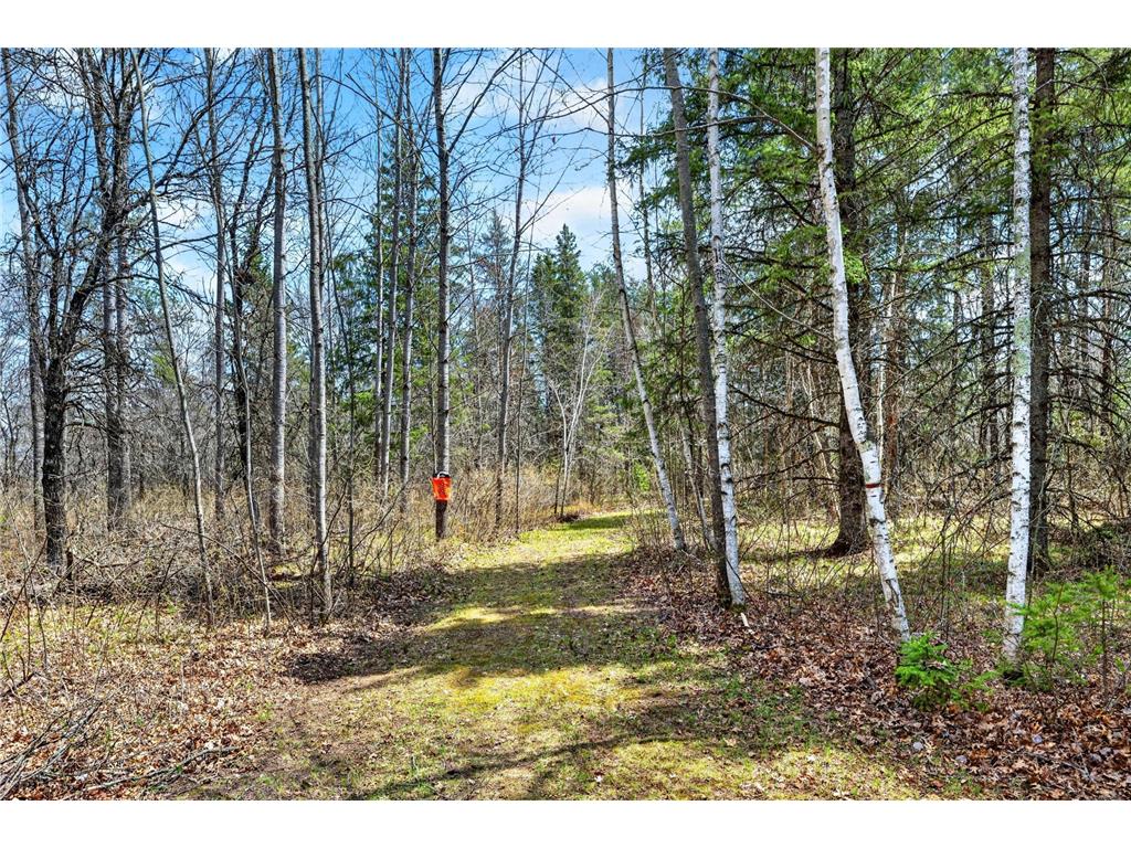 12235 E Crooked Lake Road Wascott WI 54838 7069379 image23
