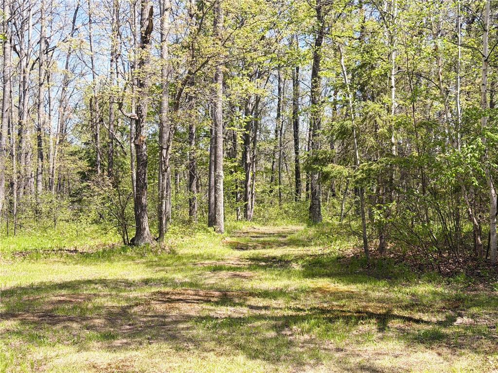 12235 E Crooked Lake Road Wascott WI 54838 7069379 image51