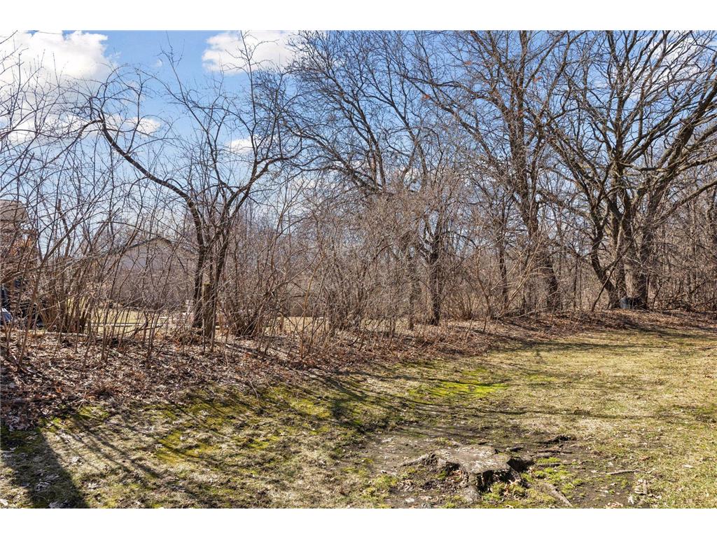 12238 Oak Leaf Circle Burnsville MN 55337 7046125 image31
