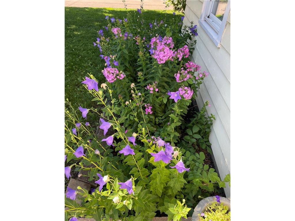 1224 Saint Joseph Avenue Albert Lea MN 56007 6755550 image34