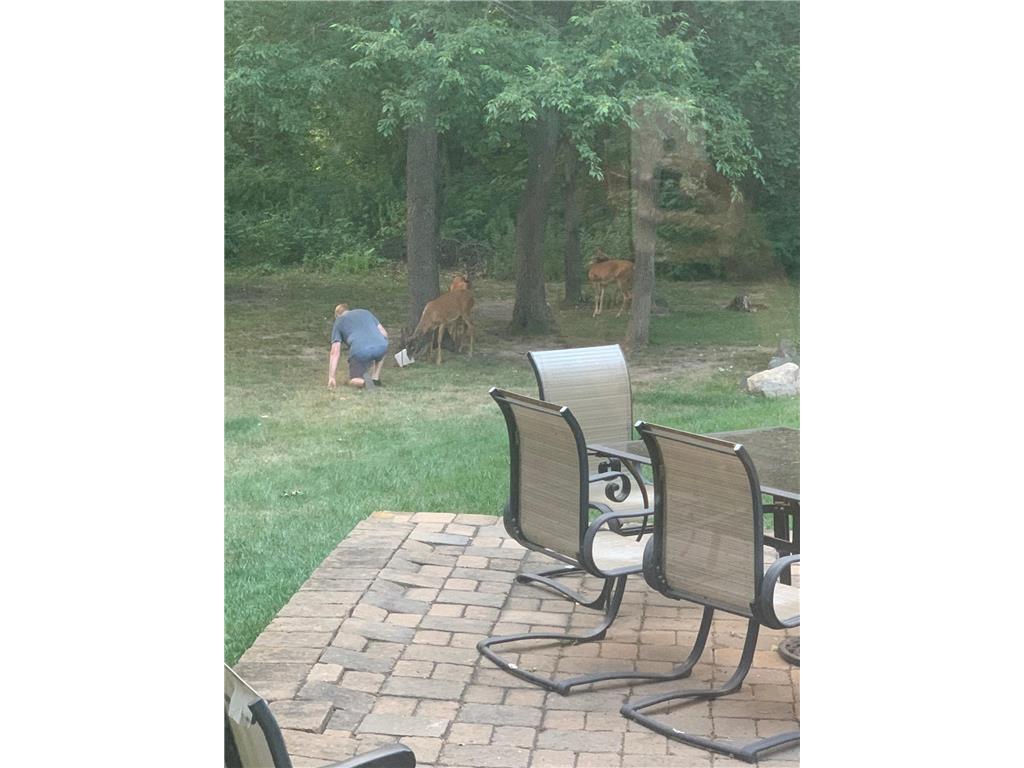 1224 US Highway 12 Warren Twp WI 54023 6794294 image58